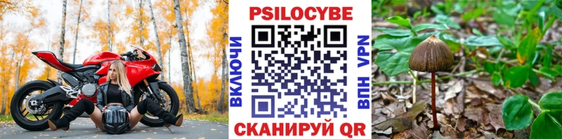 Купить где  Вятские Поляны  Галлюциногенные грибы прущие грибы 